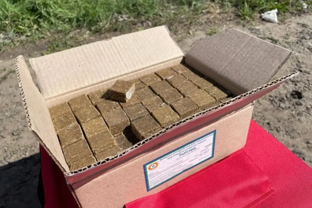 У Хмельницькій області стартувала вакцинація диких тварин від сказу