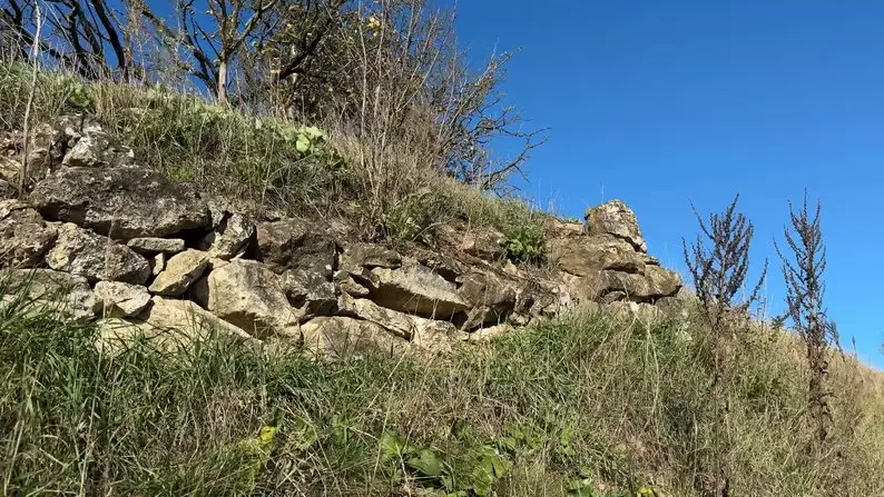 На єврейському цвинтарі в Купині виявили унікальні надгробки з незвичними зображеннями