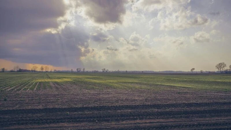 На Хмельниччині виявили незаконну передачу 57 гектарів землі психоневрологічним інтернатом