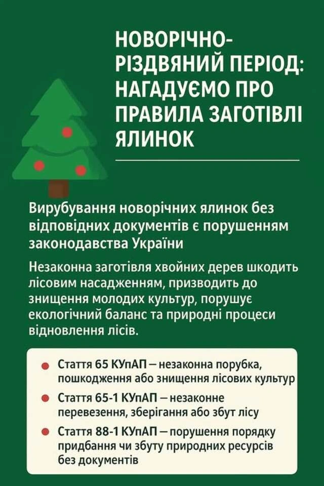Кому загрожують штрафи за нелегальні новорічні ялинки