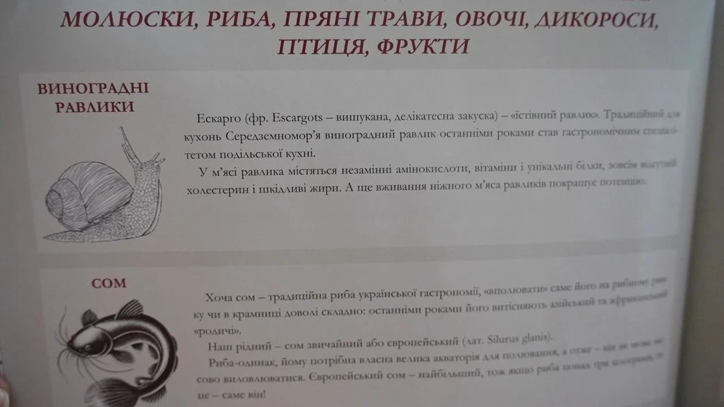 Від равликової ікри до артишоку: у Хмельницькому відновили смаки подільської знаті