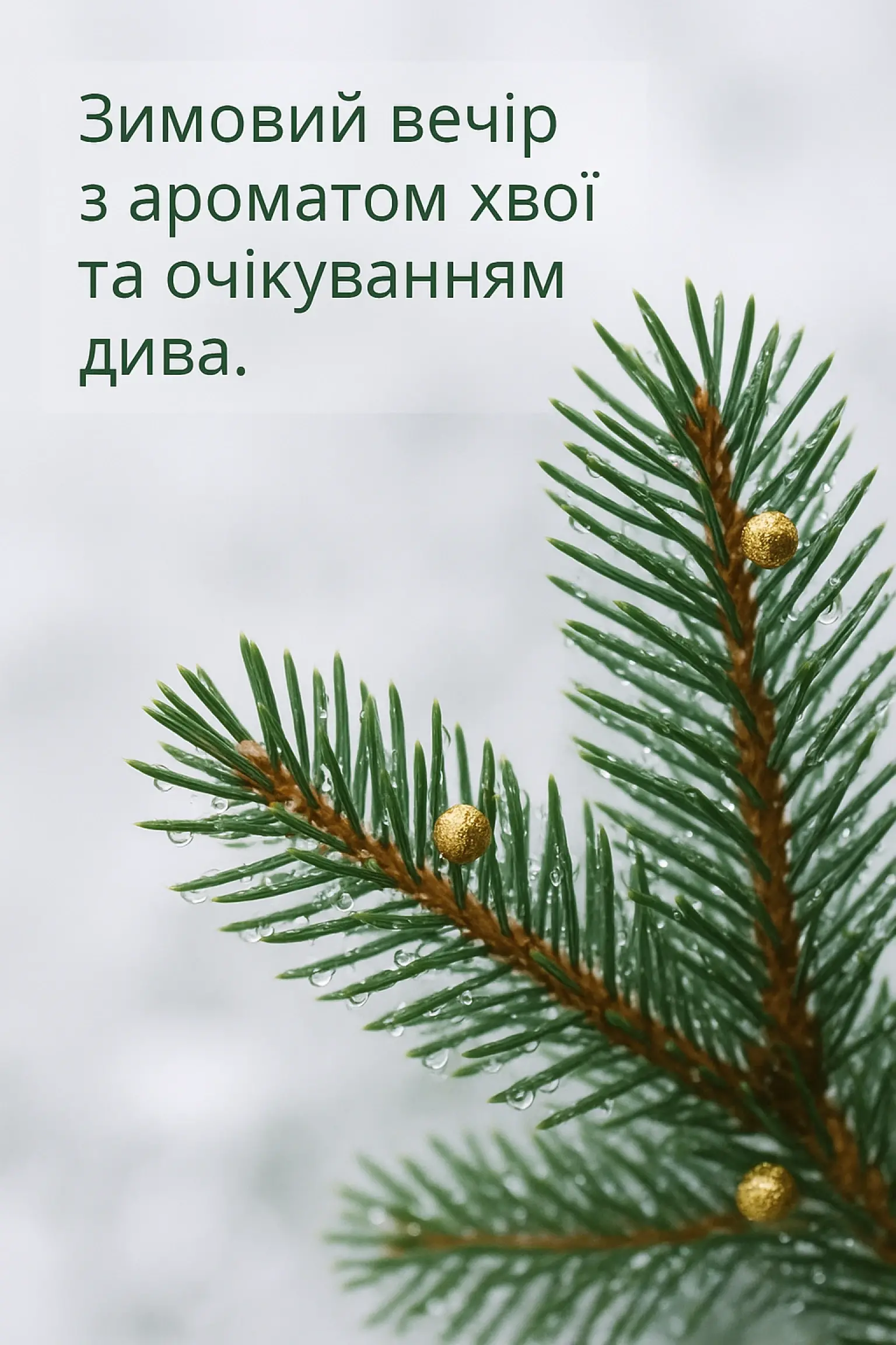 Привітання з різдвом 2025