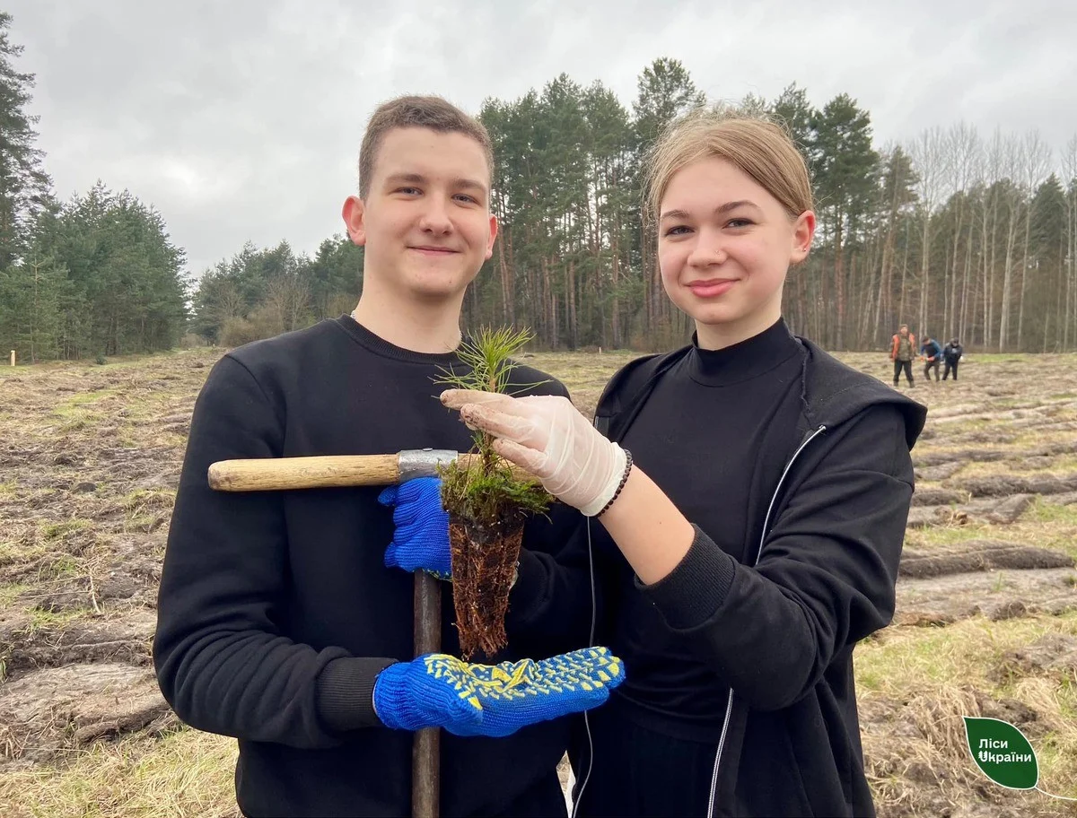 Лісівники Поділля готують масштабне відновлення лісів із новим підходом