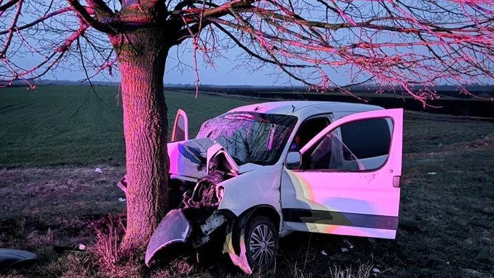 Удар у дерево на Хмельниччині: нетверезий водій відправив до лікарні трьох пасажирів
