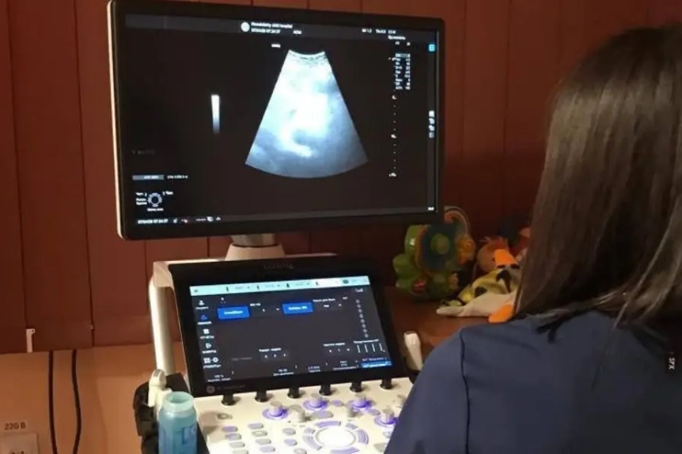 Литовський Шауляй підтримав Хмельницький медичним десантом на 200 тисяч євро
