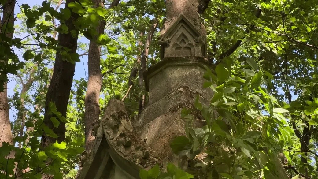 Пограбована усипальниця аристократів: на Хмельниччині знайшли гігантський склеп-каплицю