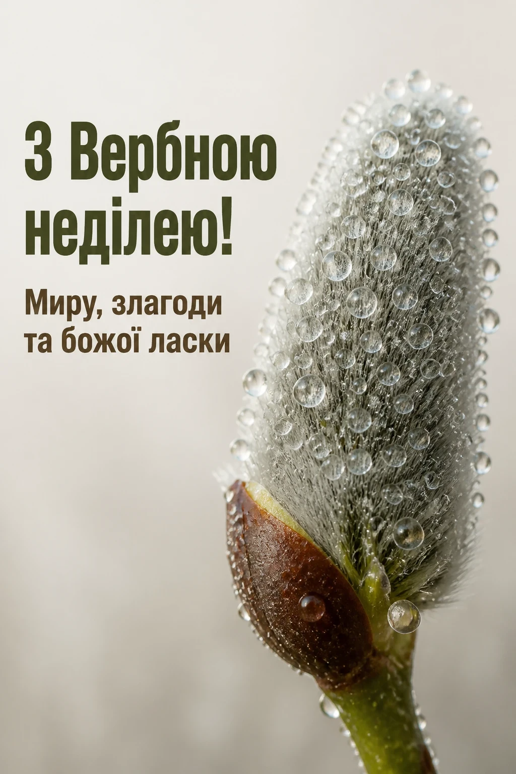 листівки привітання з вербною неділею