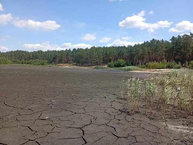 Зникла перлина Хмельниччини: чому Святе озеро перетворилося на сушу і чи є шанс на його порятунок